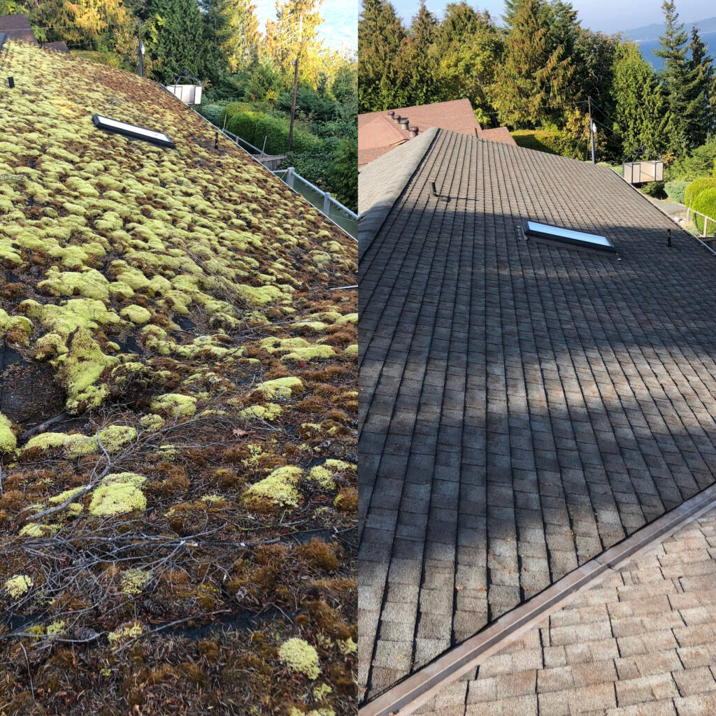 Top 3 Reasons to Have Your Roof Cleaned & Treated