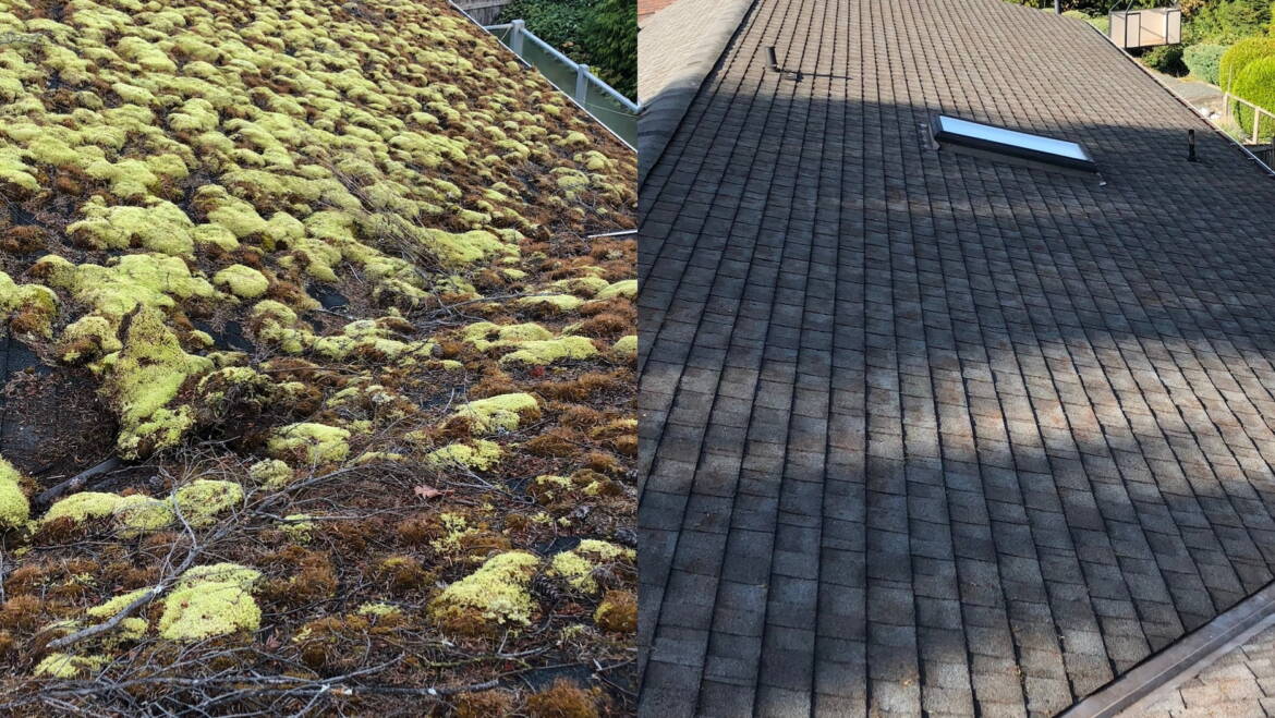 Top 3 Reasons to Have Your Roof Cleaned & Treated