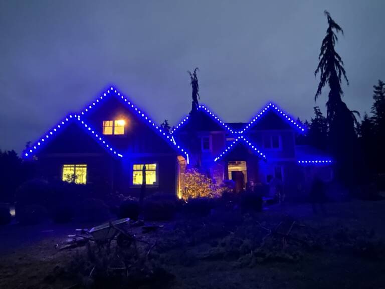 Illuminating the Holidays: The Benefits of Professionally Installed Christmas Lights