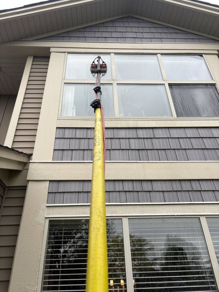 windows cleaning