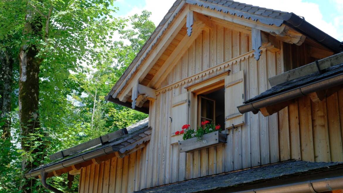 How Often Should You Clean Gutters Under Big Trees?